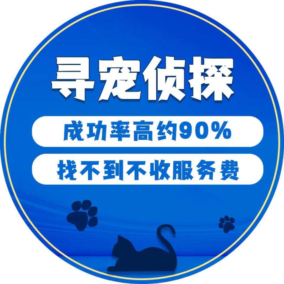 专业找猫团队宠物侦探寻宠公司