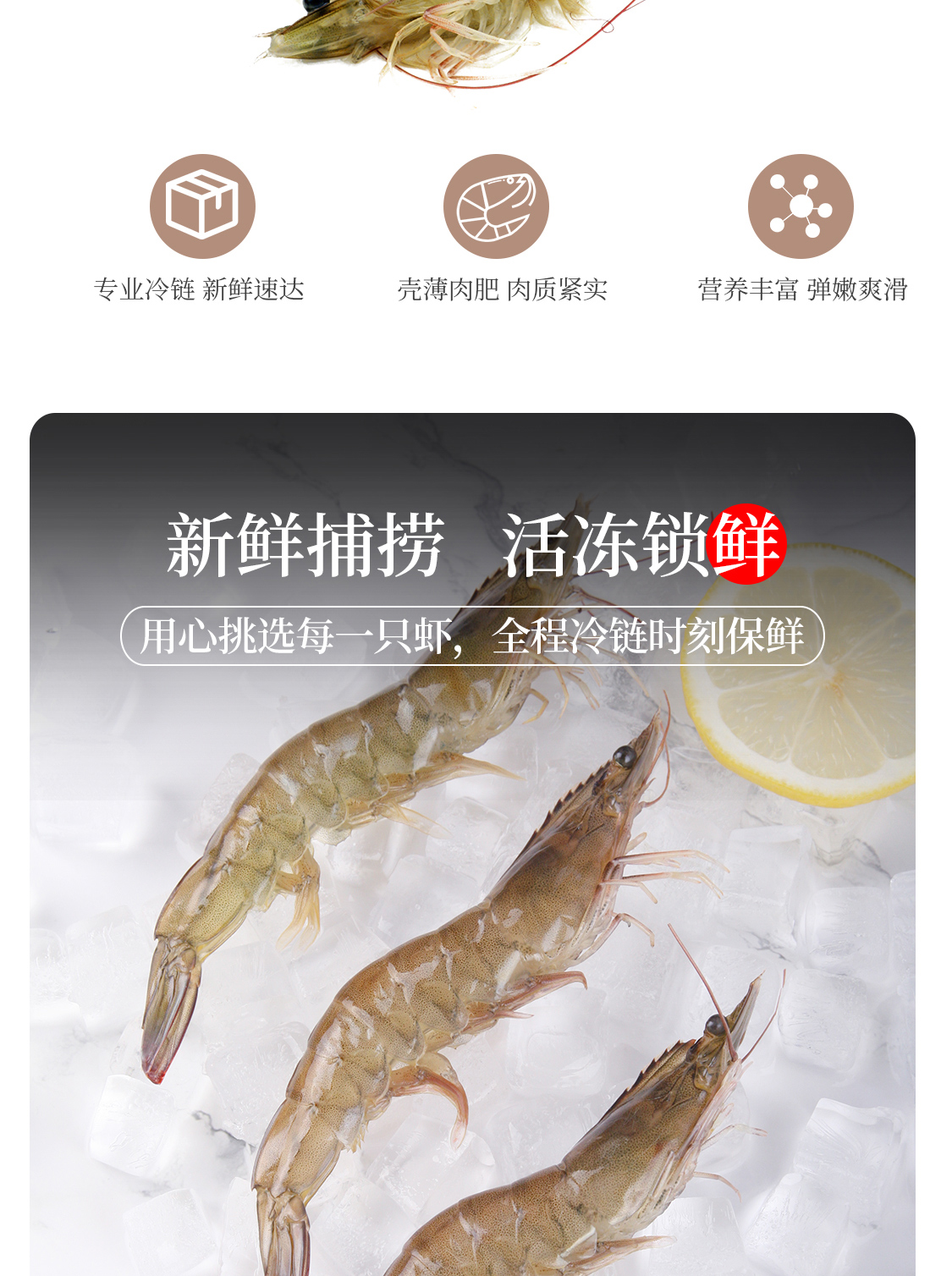 【彼洋生鲜】南美白对虾特大净重1.4kg