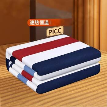 Electric Blanket 2025 New Model Single Electric Blanket Double Control New Winter Student Dormitory Heating Blanket