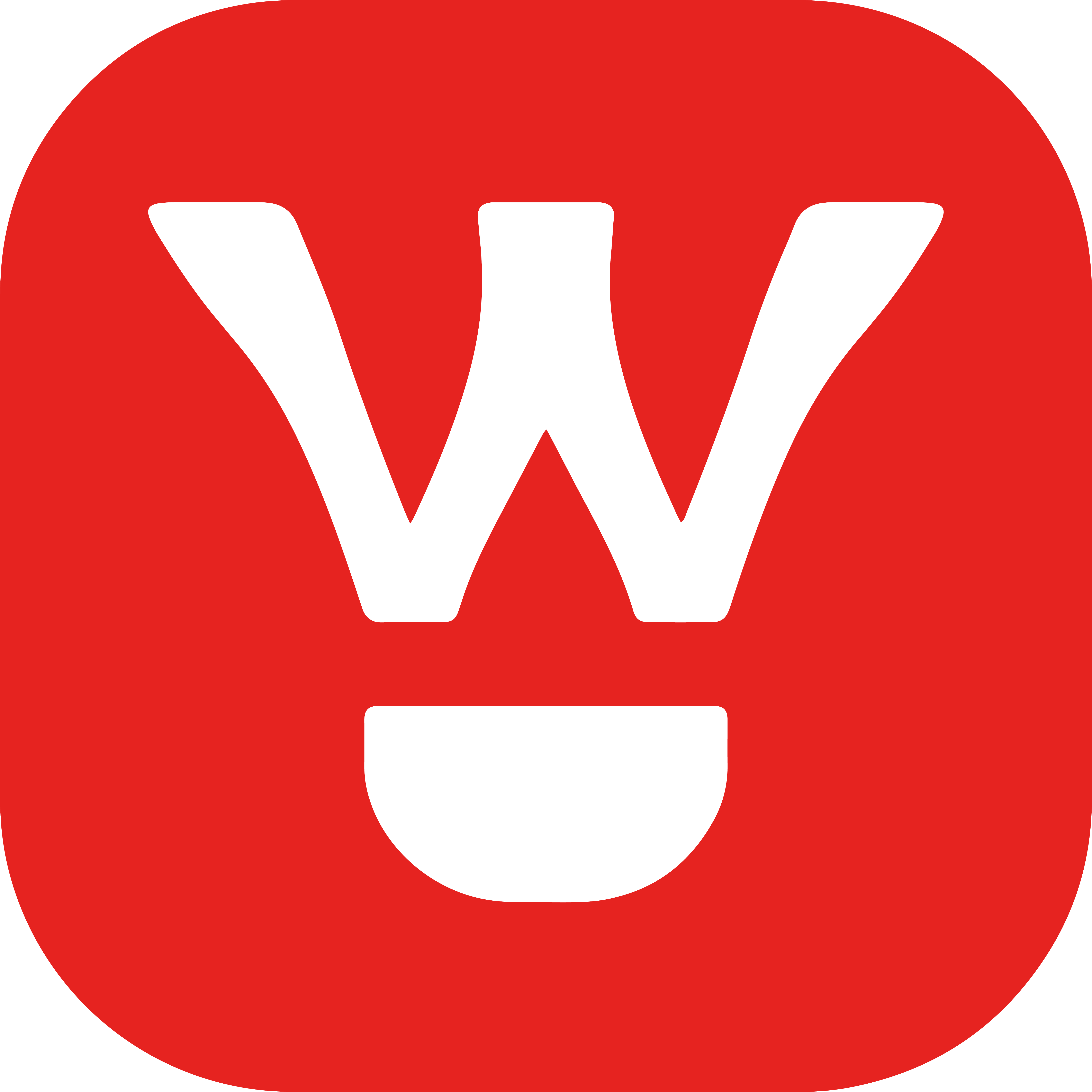 witi官方店