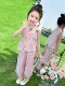 Girls' Summer Sleeveless Outfit 2025 New Stylish and Fashionable Thin Vest Set for Children, New Chinese-Style Two-Piece Set for Babies
