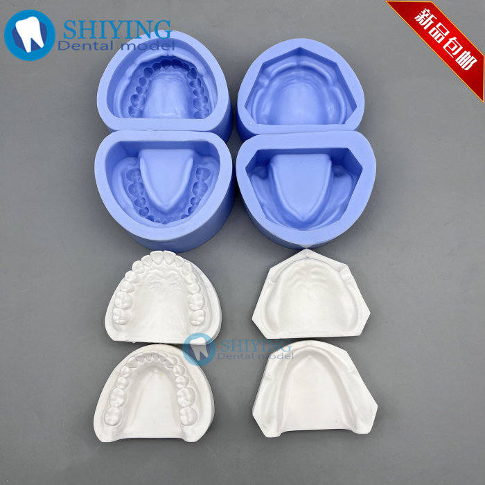 牙科 有牙阴模 无牙颌阴模 排牙基托模具 制标准石膏牙列牙齿模型