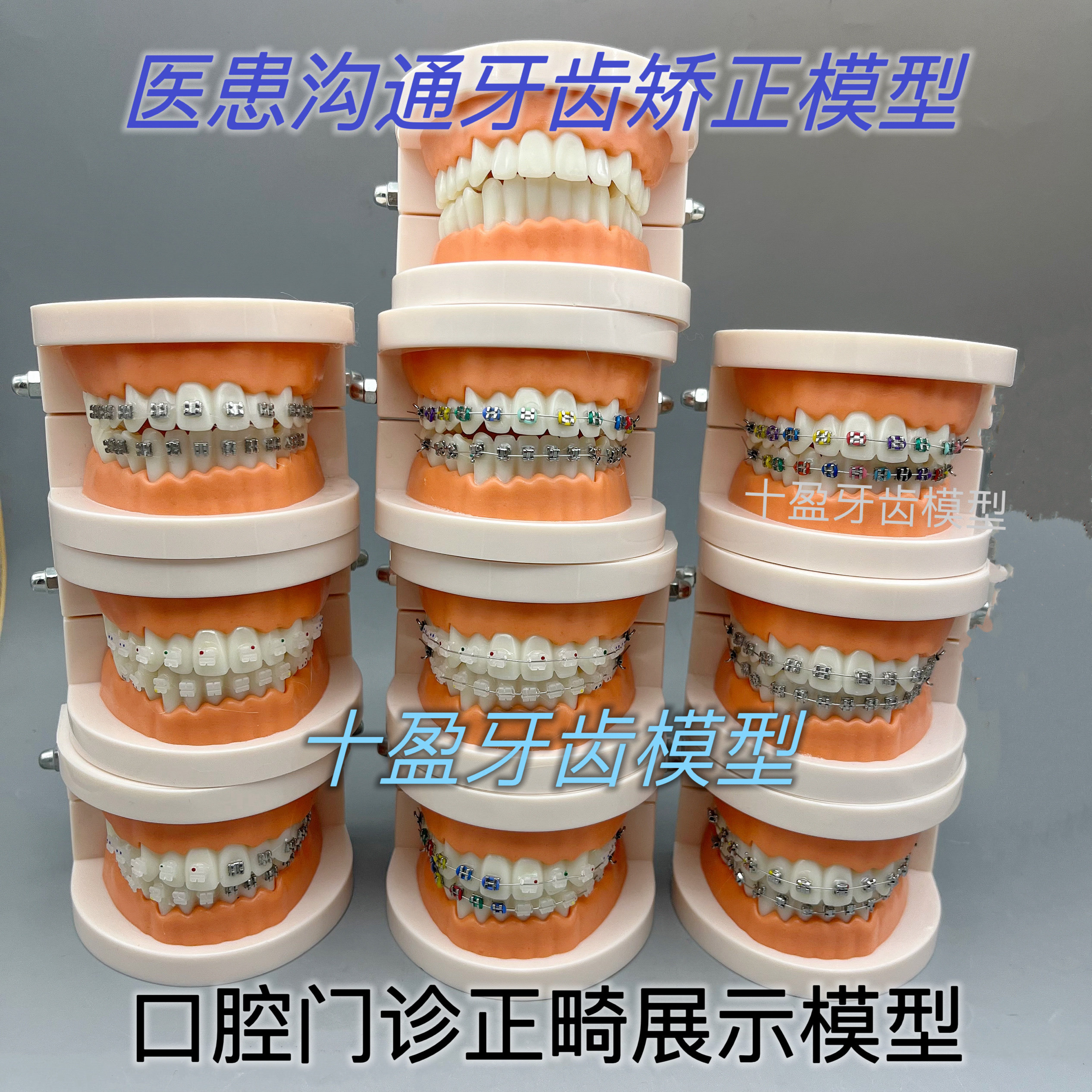 牙科口腔正畸托槽教学练习模型全金属托槽矫正医患沟通牙模型包邮