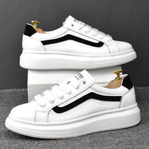 Hong Kong 100 hitch small white shoes men genuine leather casual thick bottom pine pastry mens breathable inner heightening sport leather shoes man