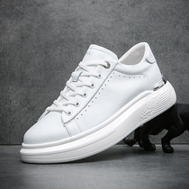 Hong Kong White Board Shoes Men Genuine Leather Thick Bottom New Sports Little White Shoes Men Casual Fashion 100 Hitch Leather Shoes Man