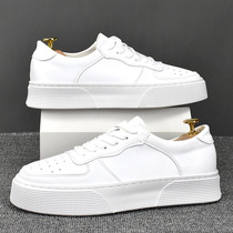 Hong Kongs new low help sport Little white shoes mens thick bottom breathable white board shoes Mens Inn Heightening Leather Shoes