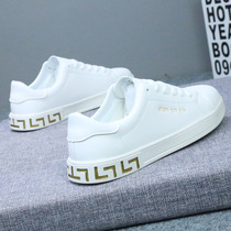 Hong Kong 2022 new thick base small white shoes mens casual 100 hitch white board shoes male lovers heightening white shoes men