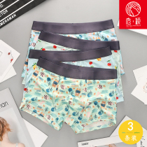 Mens underwear summer thin 2021 new sex cute cartoon youth tide boys boxer boxer pants
