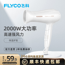 Feike electric hair dryer household high-power barber shop dedicated wind does not hurt Cold hot wind student dormitory wind duct