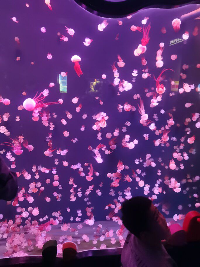 精品工装商贸