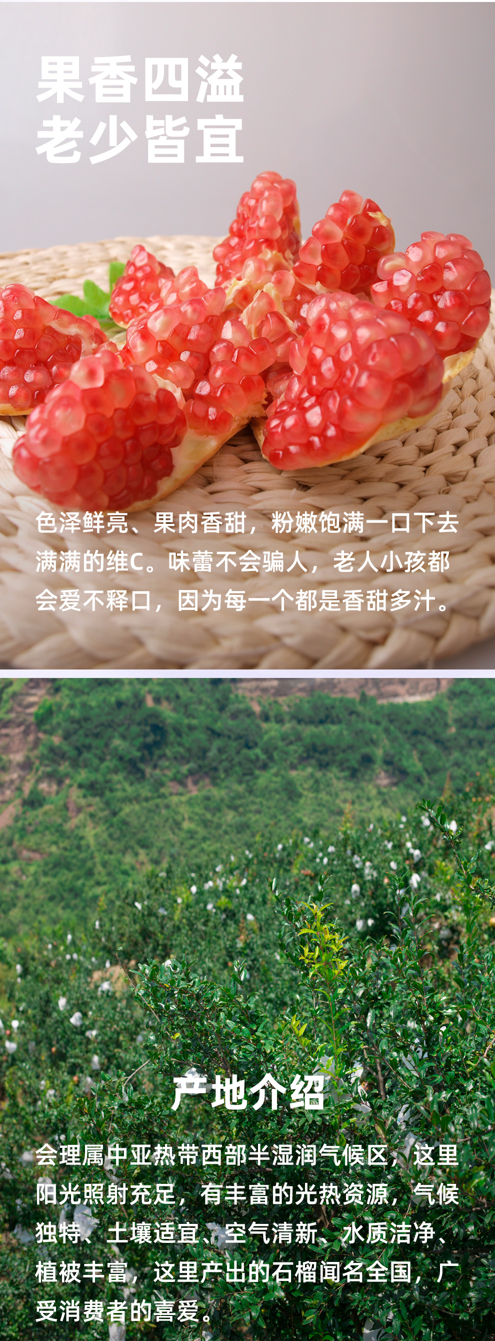 盒马 四川会理 突尼斯软籽石榴 8斤 单果350g+ 图2