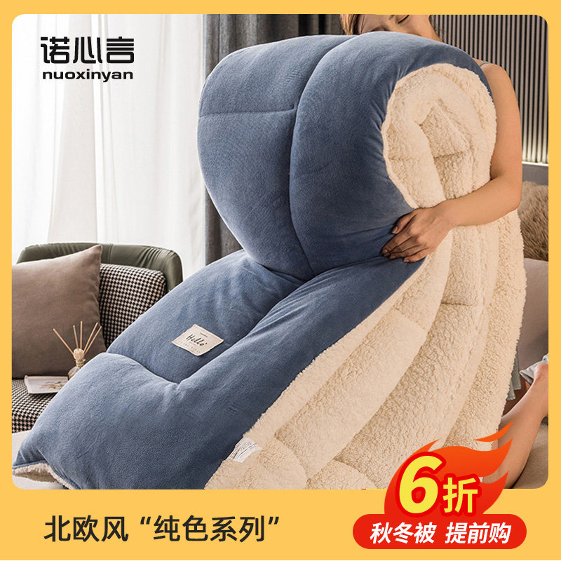 Lamb velvet quilt winter quilt quilt thickened warm dormitory single student autumn and winter quilt core double quilt 10 catties