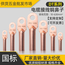 National standard DT10 300 square copper nose terminal block wire and cable copper connector lug copper tinned manufacturer