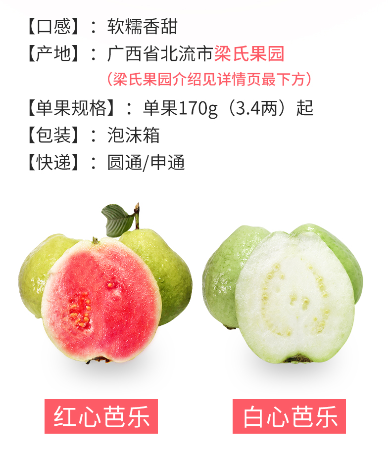 广西北流 红心芭乐 番石榴 9斤 单果3.4两 图2