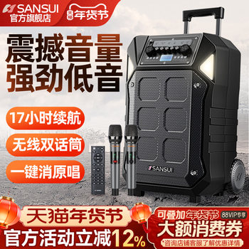 Shanshui D12 Outdoor Karaoke Trolley Performance High-Volume Bluetooth Mobile Speaker High-Power Outdoor Square Dance Speaker