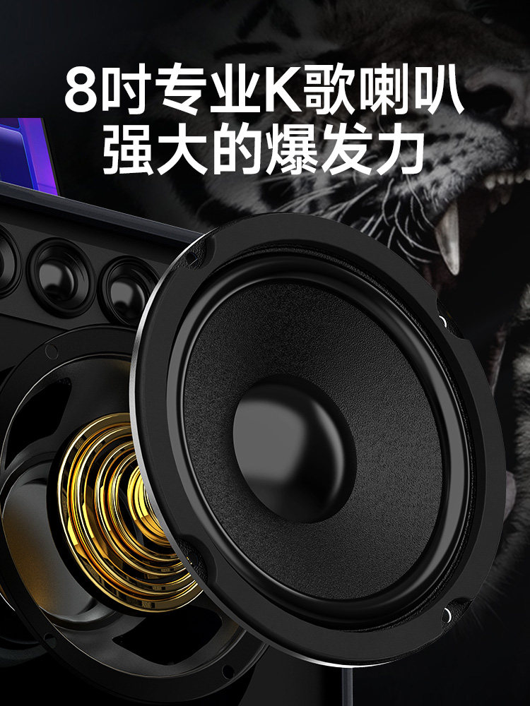 Shanshui Q085 Home Ktv Audio Set with Touch Screen All-In-One Machine for Home Karaoke Tv Karaoke Speaker