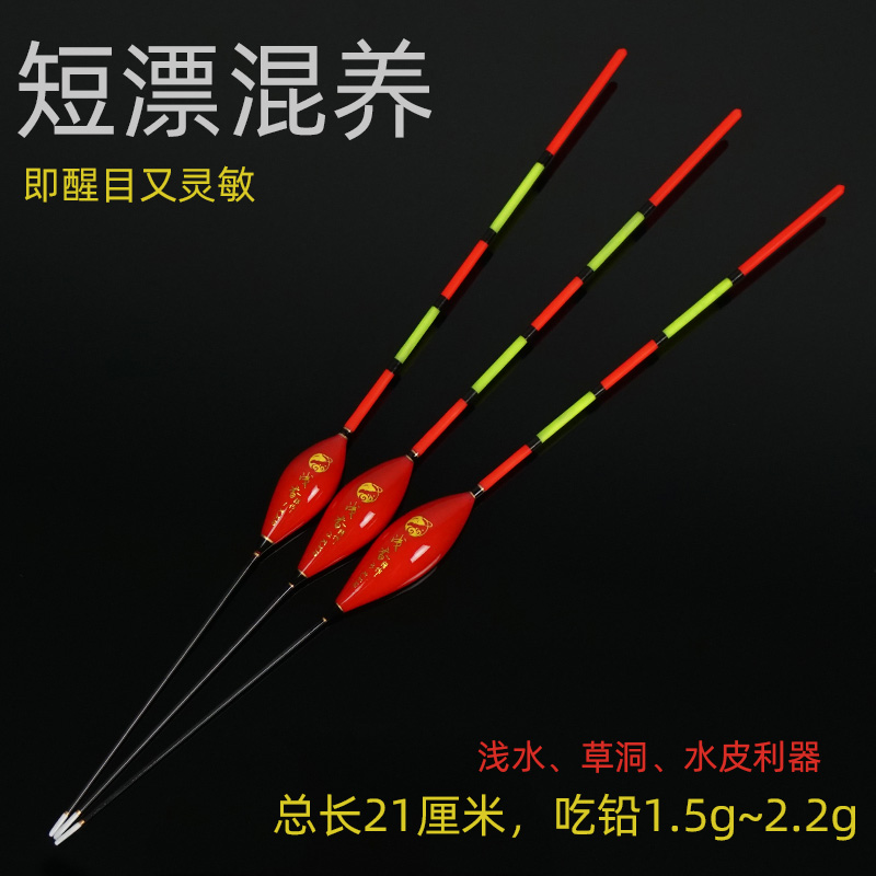 Shallow water floating short floating bold eye-catching hollow tail myopia water fur grass hole mixed breeding crucian carp carp for floating fishing