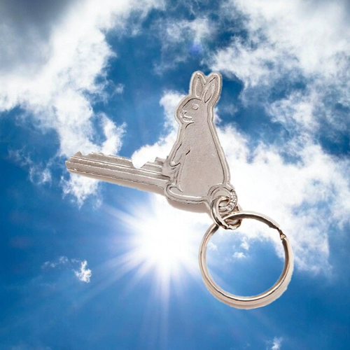 Spot FR2 Ключевой кольцо кольца fxxkey rabbits держатель ключей