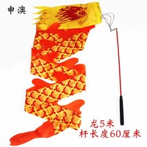 Stage color silk shaft flying dragon Dragon Phoenix beginner Cloth Dragon Tai Chi Student long pole ribbon light sports straight stick ball