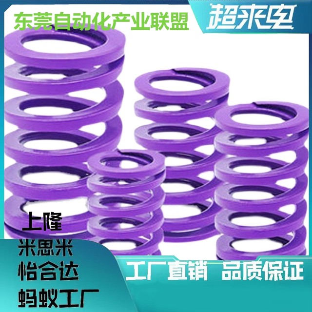 Purple YSWC-D30-L25L30L35L40L45L50L55L60L65L70L80L90L100 rectangular spring