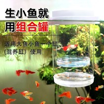 Fish cub separator guppy breeding box fish tank isolation box small fish juveniles mother fish maternity room fry suspension