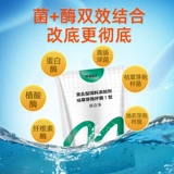 Дно дно воды, вода, настраивающая воду, разложение воды приманки осадка, дно пруда, черно -хрустящая вонючий рыбный пруд