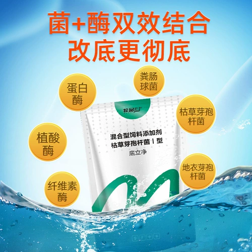 Дно дно воды, вода, настраивающая воду, разложение воды приманки осадка, дно пруда, черно -хрустящая вонючий рыбный пруд