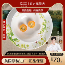 American original imported CORELLE Canning tableware Heat-resistant glass soup bowls plate Provence series of single pieces