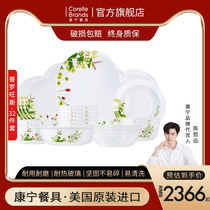 American original imported CORELLE Canning tableware Heat-resistant glass soup bowls plate Provence 32 pieces sets