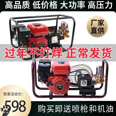 2021 New Diesel Oil Free Cream Spray Machine Petrol High Pressure Fruit Tree Garden Agricultural New Spray Pesticide 3