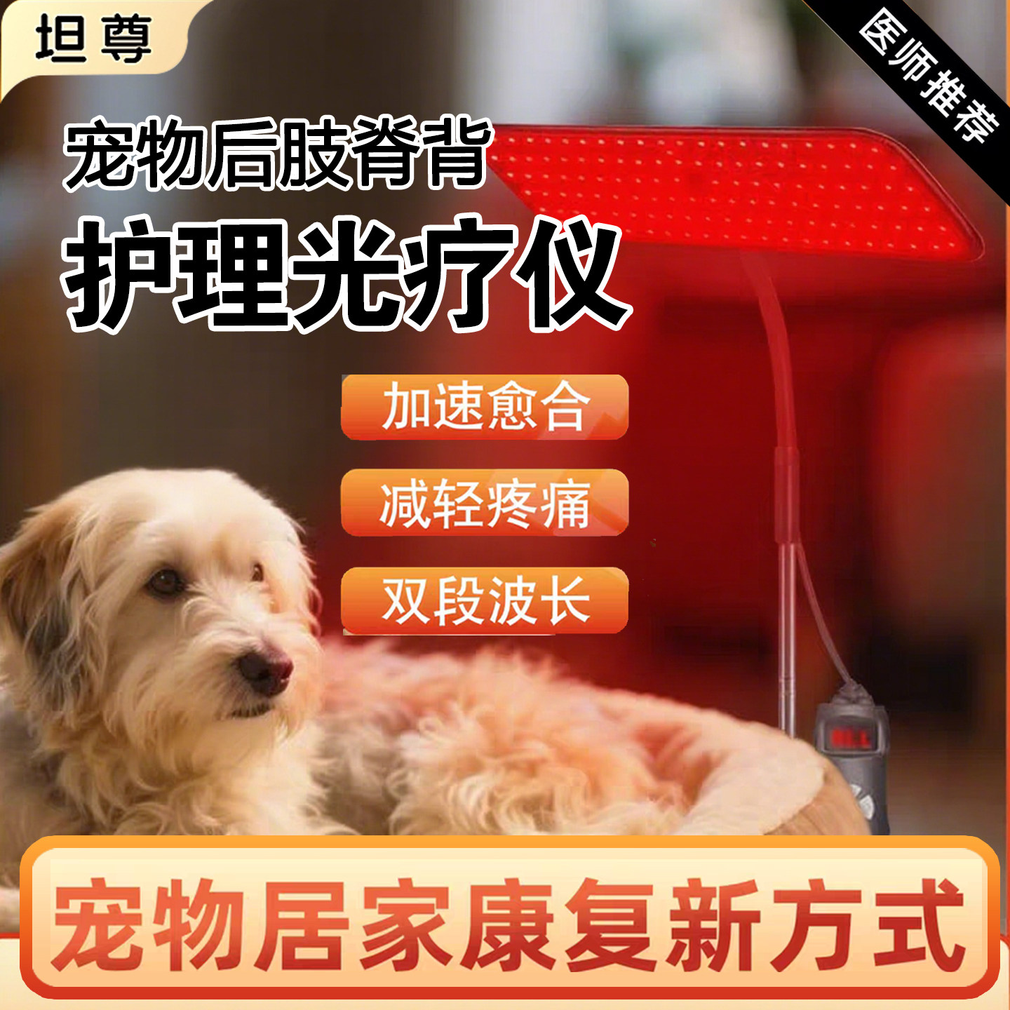 宠物狗狗医院远红外线理疗烤电烤灯脊椎关节炎伤口犬猫红光理疗灯