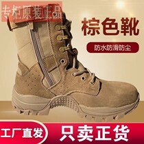 Genuine combat mens training boots brown wear-resistant side zipper Wolf outdoor hiking womens shoes security desert boots 1