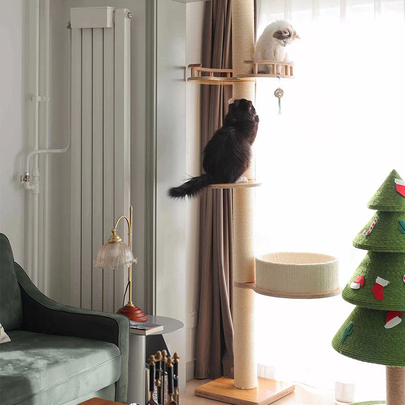 catsle Catsle Cat crawled solid wood ecosystem column of the capsule sword and cat nest warm up