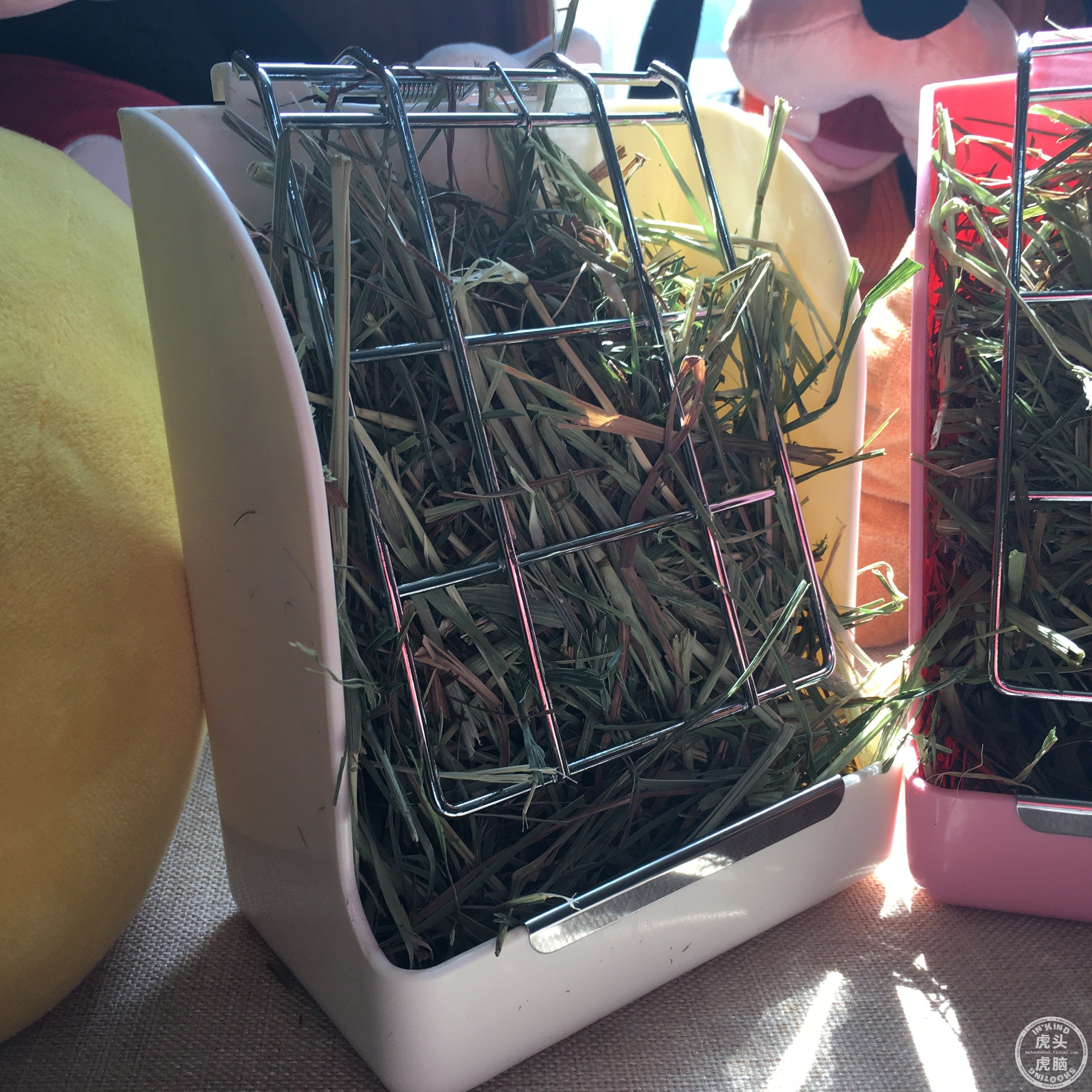 Spring wood two-in-one plastic grass rack grass ball eating pot rabbit chinchilla guinea pig Dutch pig grass pot