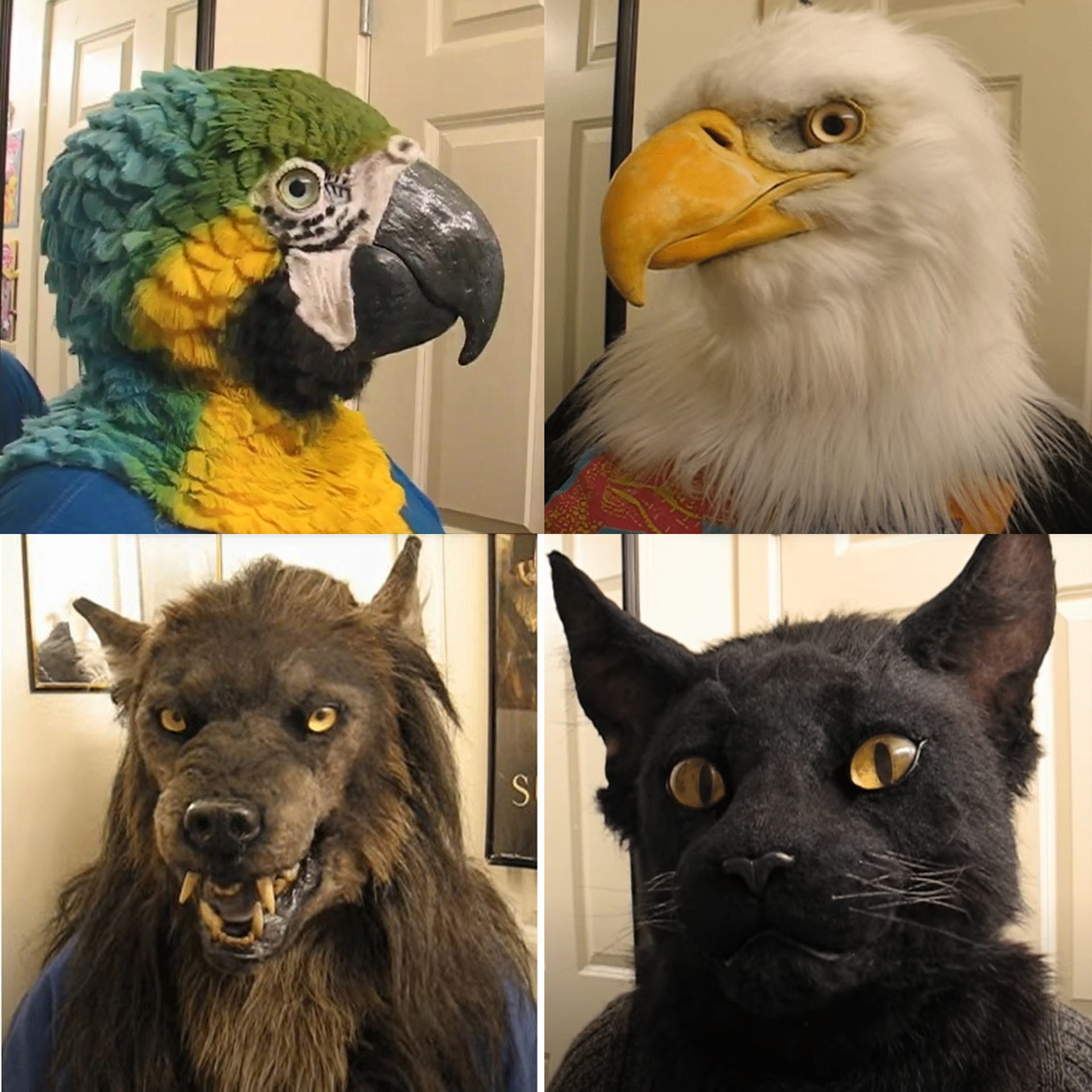New Black Cat Eagles Great Sculpture Animal Mask for Halloween Wolf Parrot Hood Prom Props