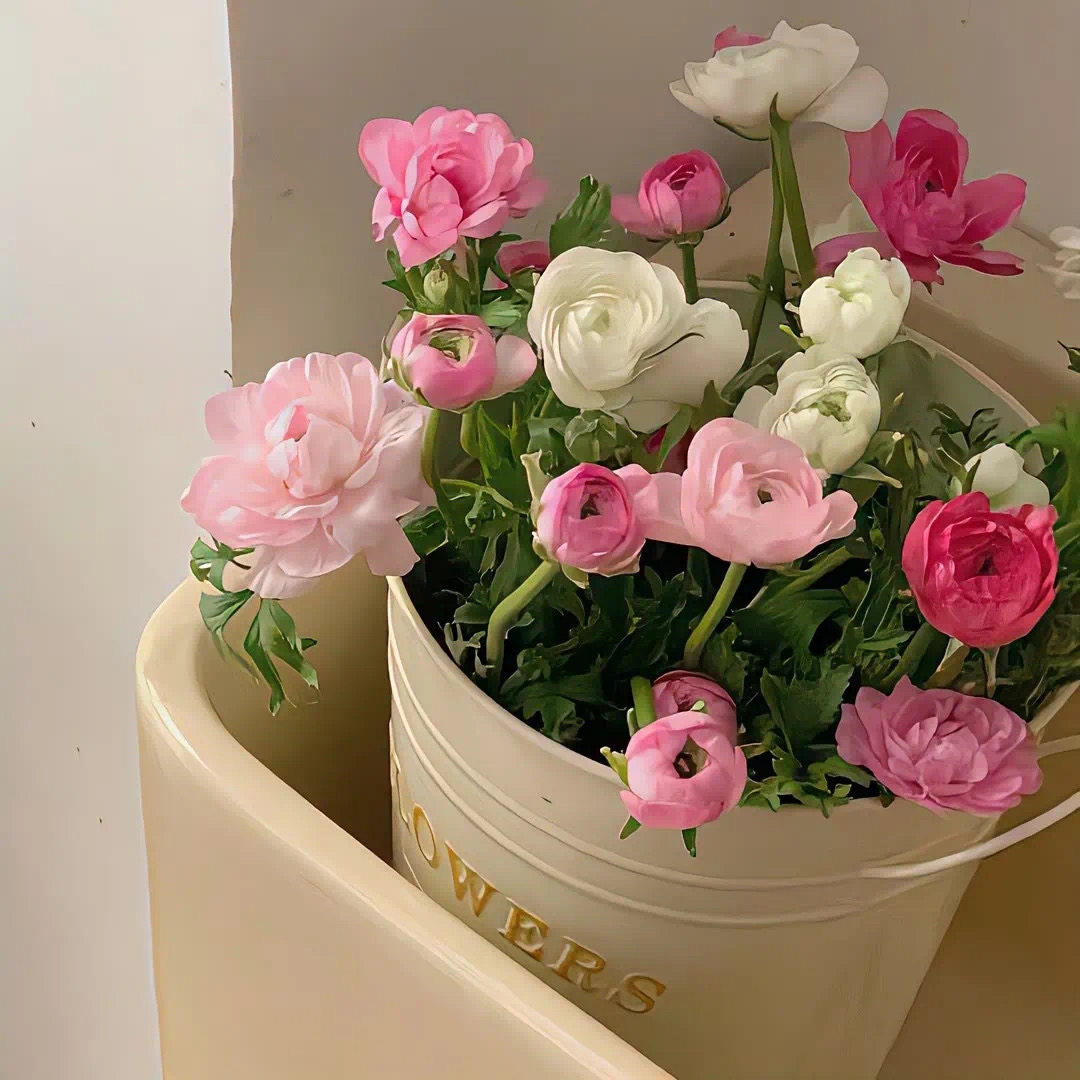 家居好物优选品
