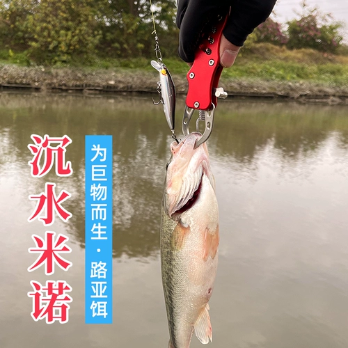 Луя фальшивая приманка, которая собирается убить полный набор приманки и руллеров Специальная пресноводная мино -виб -семя