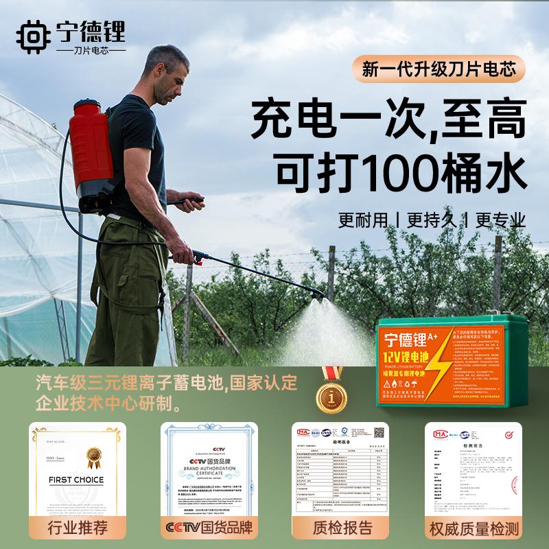 揭秘：盾电池与宁德电池，哪家工资更高？