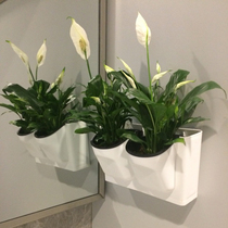 Sloth Wall Automatic Water Suction Flower Pot Vertical Wall-mounted Plant Wall Green Lorries Gondolado Water Storage Free Pegging Wall Planting Basin