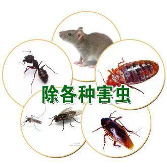 君无忧虫控