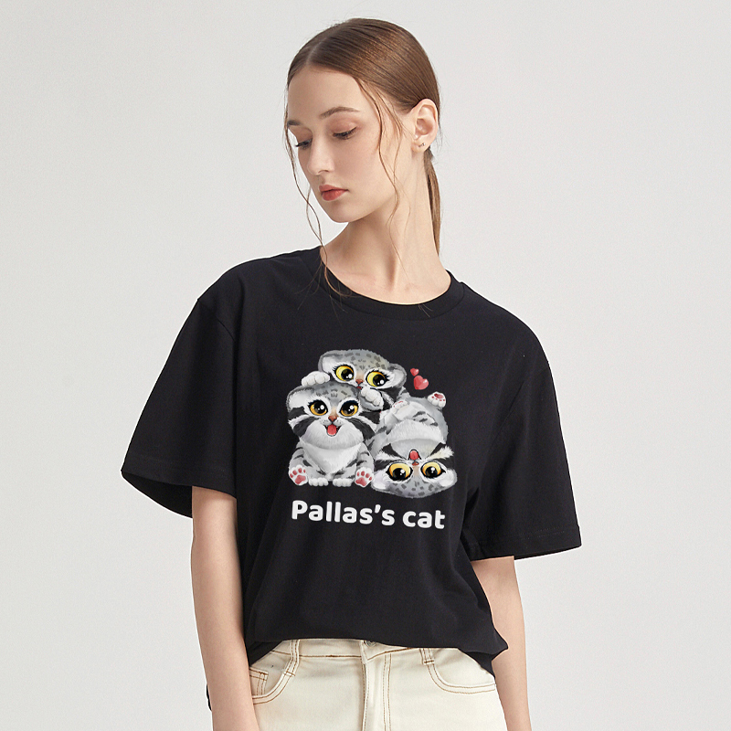 Three rabbit - tai - yuan pavilion original T5 illustration surrounding cultural couple Meng loose short sleeve T - shirt