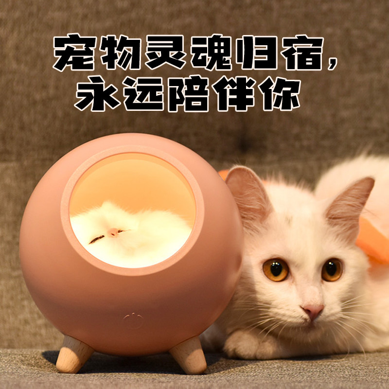 Pets miss cats Changming lamp head seven miss commemorative urns paper money burning paper dog death souvenirs