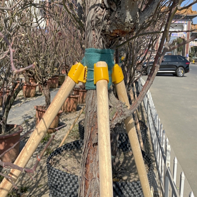 Garden Trees Support Frame Support Frame Rod Stable Bracket Windproof Buckle Walkway Wood Stick Cover Cup Trifour-corner Frame
