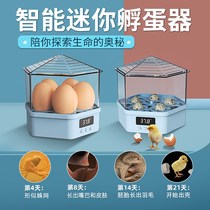 Luding Chicken Incubators Pigeon Duck Hatching Eggs Eggs Seminal children Little chickens Small Home Birds Cockatoo Chicken Fry