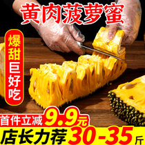 Hainan Sanya jackfruit fresh fruit dried bud yellow meat a whole 20-40 pounds of seasonal wood paramita