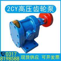 2CY high-pressure gear pump high-lift oil pump hydraulic oil pump three-phase diesel residual oil pump self-priming oil pump