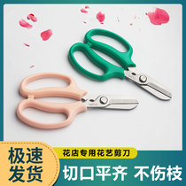 Pruni Scissors Floral Arts Floral PruneArts Special Stainless Steel Scissors Gardening Scissors Home Flowers Floral Plants