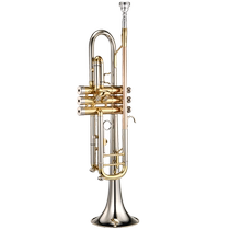 Xinbao trumpet instrument B flat three-note trumpet beginner performance examination professional band TR600 white copper