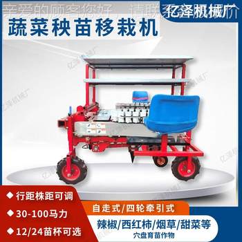Vietnamese phoenix transplanting machine 24 rows of vegetable tobacco distance transfer dzg seedling machine pear four-wheeler with row spacing plant adjustable additional row
