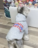 Демисезонный шнурок-держатель, флисовая удерживающая тепло толстовка, в корейском стиле